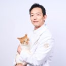 배산동물병원 | 배산역동물병원 강아지 잠복고환, 심각한 합병증이 발생할 수 있습니다.