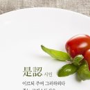 마므레 이미지