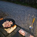 비타민팜 이미지