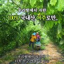 장균농장 이미지