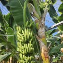 함평농장 이미지