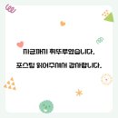 심플이브닝 | [추천템? 비추천템?] 탬버린즈 핸드크림 이브닝글로우 펌키니 후기｜선물용 감성템 추천 ㅣ 카카오톡...