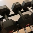 원바디핏 이미지