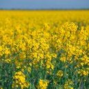 광도한의원 이미지