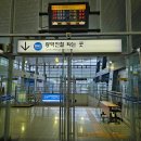 [체크인]울산당일여행 : 고래고기 국가정원십리대숲 페즈커피 수타우동아키라