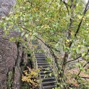 옥정사 | ■정상 뷰가 미쳤던 부산 기장 8경 제 1경 &#39;달음산&#39; 1코스 옥정사 등산 후기■