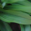 온유정원 이미지