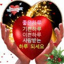 [노년의 사랑2] 황혼의 사랑이 치유가 되는 이유 이미지
