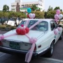 풀잎사랑 이미지