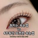 [망원 벨루스뷰티] 속눈썹 펌 실패 없는 완벽 시술 가이드 🏛️🪽