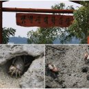 시흥갯골축제(정왕동미술학원,배곧) 이미지