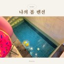 경주 감성 인테리어 예쁜 미온수 풀빌라펜션 나의봄펜션 104호 후기