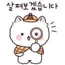 벨리아뷰티 이미지