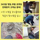 기흥동 | 기흥구 누수업체 성실시공 영덕동 기흥동 아파트누수탐지비용 후기좋은업체