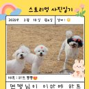 스토리멍 여수애견호텔/여수애견유치원 이미지