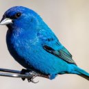 염색나라 이미지