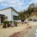 소디스커피 이미지