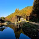 논산숲 | 드라마 촬영지, 충남 논산 온빛자연휴양림! 가을 단풍 메타세쿼이아 숲과 호수가 만든 &#39;인생샷 성지&#39; 후기