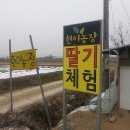 현이농장 이미지