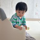 토끼야떡먹자 | [돌 아기 소파 추천] 일룸 버니 아코 소파 실 사용 후기