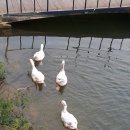 청룡저수지 이미지