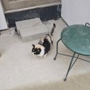 신진도민박 이미지