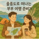 5월 황금연휴, 울릉도 가족 캠핑 준비 꿀팁 &amp; 어플 추천 총정리 💡