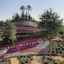 (주)잔디투어 이미지