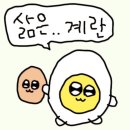 계란직판장 - 고창군 | 계란직판장