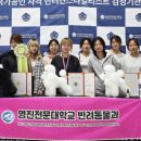 파주애견미용센터 이미지