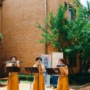 새빛초등학교 이미지