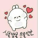 힘내시게 이미지
