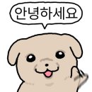 베베드망
