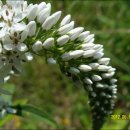 고성축협생축사업장 | 낙남정맥 5구간(계리재~봉전고개~무선산~돌장고개~객숙치~봉대산~양전산~부련이재)