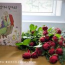 말랑말랑 그림책 마음여행 이미지