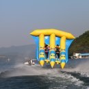 피시랜드 이미지