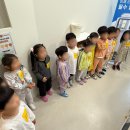 파란나라어린이집 이미지