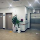엠마오양로원 네이버블로그