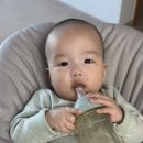 비오컴퍼니 | 신생아 3개월 돌아기유산균 필수 드롭vs가루 추천(바이오가이아에서 갈아탄 후기)