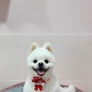 은쌤동물병원 이미지