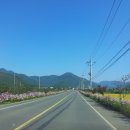 기북면사무소 이미지