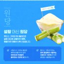 순수그릭 | 그릭요거트 추천, 일동후디스 무첨가 순수 홈메이드 그릭요거트 플레인 만족후기