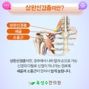 진량한의원 이미지