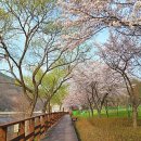 금강로하스 해피로드(2) 이미지