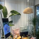 호산청과 | 부산 북구 과일바구니 과일선물 한올림프룻