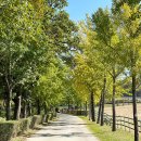 덕양목장2 이미지