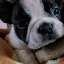 팔탄카센타 이미지