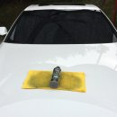 워시가이 이미지