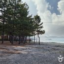 기사문항(등대) 화장실 이미지