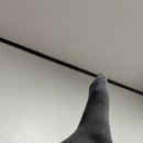 오필스타일